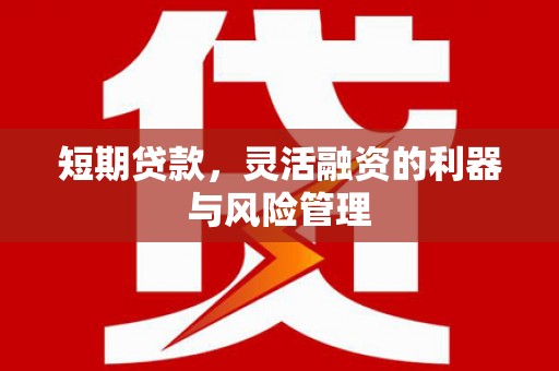 云龙短期贷款，灵活融资的利器与风险管理