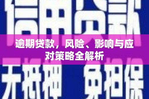 大埤逾期贷款，风险、影响与应对策略全解析