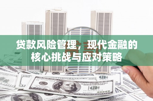 夏河贷款风险管理，现代金融的核心挑战与应对策略