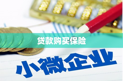 安远贷款购买保险