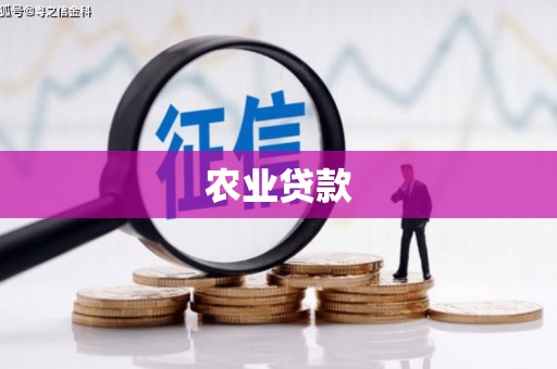 紫阳农业贷款