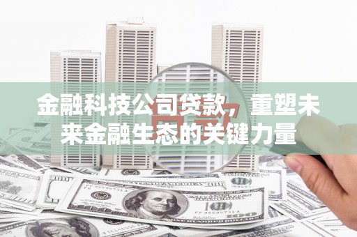 磁县金融科技公司贷款，重塑未来金融生态的关键力量