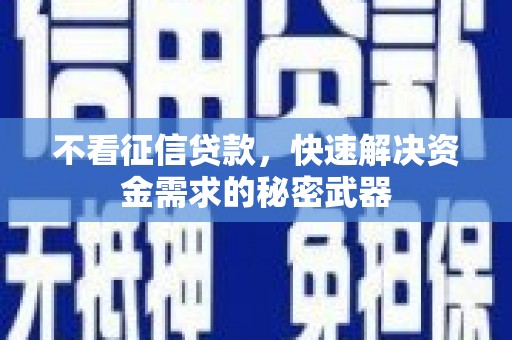 嘉禾不看征信贷款，快速解决资金需求的秘密武器