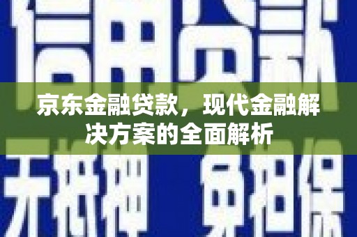 兴文京东金融贷款，现代金融解决方案的全面解析
