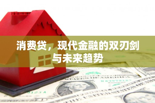 阿拉善左旗消费贷，现代金融的双刃剑与未来趋势