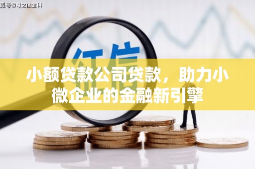 宿豫小额贷款公司贷款，助力小微企业的金融新引擎