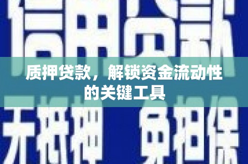 卑南质押贷款，解锁资金流动性的关键工具