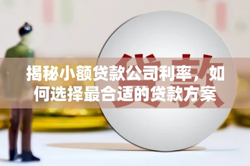 丰原揭秘小额贷款公司利率，如何选择最合适的贷款方案