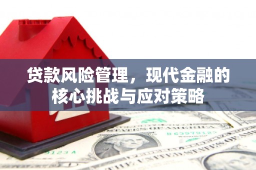 东引贷款风险管理，现代金融的核心挑战与应对策略