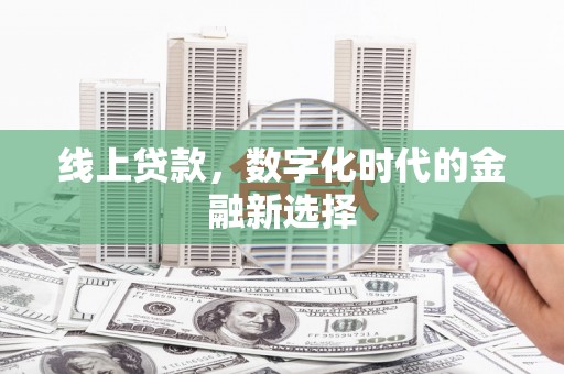 海原线上贷款，数字化时代的金融新选择