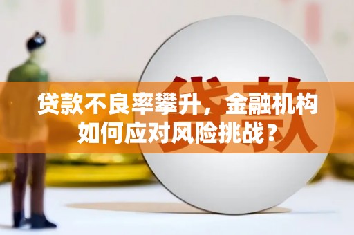 兴文贷款不良率攀升，金融机构如何应对风险挑战？