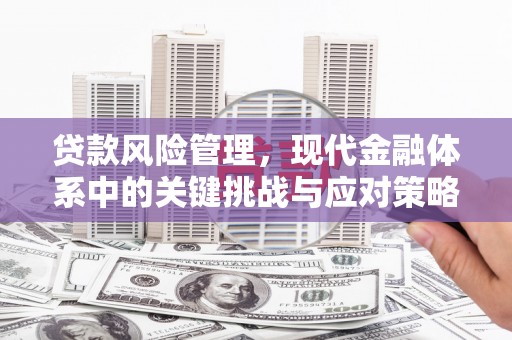 长宁贷款风险管理，现代金融体系中的关键挑战与应对策略