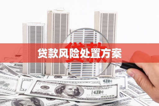 新宾贷款风险处置方案