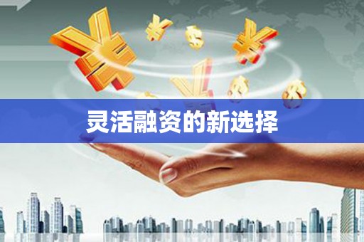武鸣灵活融资的新选择
