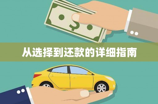 洪雅从选择到还款的详细指南