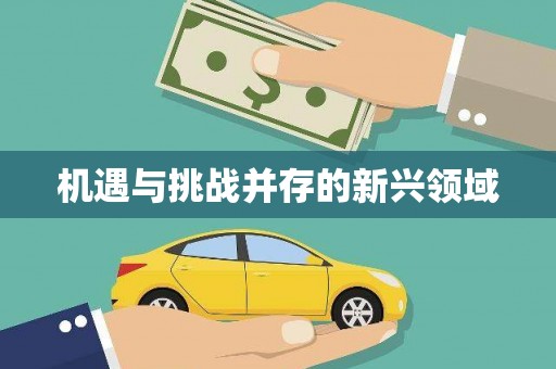 工布江达机遇与挑战并存的新兴领域