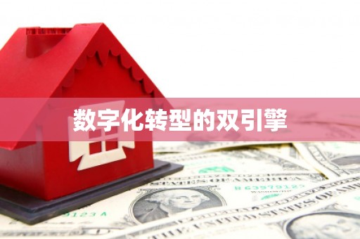 麦积数字化转型的双引擎