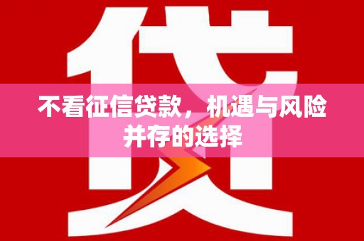 西和不看征信贷款，机遇与风险并存的选择