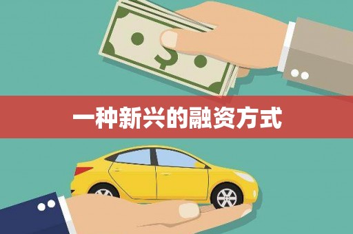 芒市一种新兴的融资方式