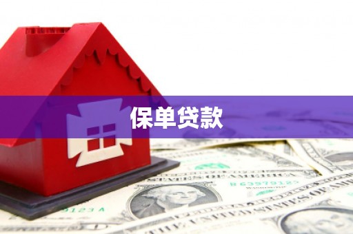 新绛保单贷款 新绛保单贷款